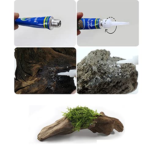 EastVita Aquarium Landscape Super Glue Fast-Drying Glue Strong Adhesive Safe Glue for Plants Moss Coral Stone Wood Coral Non-Toxic Fresh and Salt Water 100g Skeleton Glue