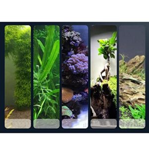 EastVita Aquarium Landscape Super Glue Fast-Drying Glue Strong Adhesive Safe Glue for Plants Moss Coral Stone Wood Coral Non-Toxic Fresh and Salt Water 100g Skeleton Glue