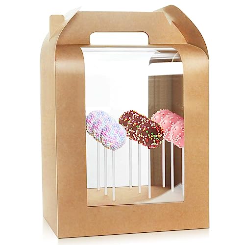 Vowcarol Portable Cake Pop Holder Boxes Cake Pop Display Stand with Cover Candy Apple Boxes with Hole Cake Pop- Packaging - 6 Packs