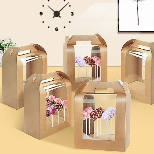 Vowcarol Portable Cake Pop Holder Boxes Cake Pop Display Stand with Cover Candy Apple Boxes with Hole Cake Pop- Packaging - 6 Packs