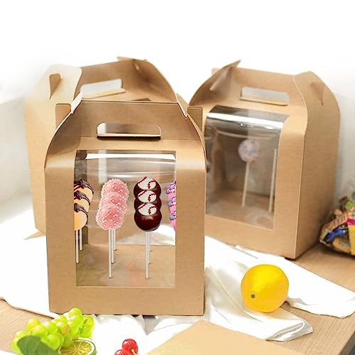 Vowcarol Portable Cake Pop Holder Boxes Cake Pop Display Stand with Cover Candy Apple Boxes with Hole Cake Pop- Packaging - 6 Packs