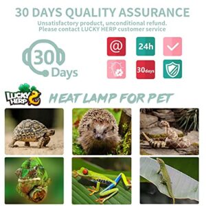 LUCKY HERP 4 Pack 50W UVA UVB Reptile Light Bulbs, Heat Lamp Bulbs for Reptiles and Amphibians, Basking Light Bulb for Turtle, Bearded Dragon, Lizard Heating Use