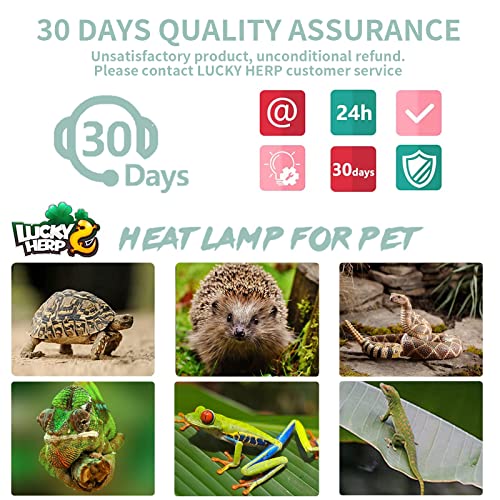 LUCKY HERP 4 Pack 50W UVA UVB Reptile Light Bulbs, Heat Lamp Bulbs for Reptiles and Amphibians, Basking Light Bulb for Turtle, Bearded Dragon, Lizard Heating Use