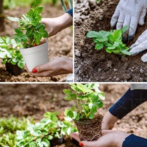 SwinDuck 4 inch Small Plant Pots, 28 Pack Plastic Planters with Drainage Holes and Saucers for Flowers Plants, Succulents, Seed Starting Pots, White