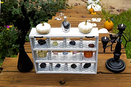 Crystal Holder Display Shelf - Rustic Wall Mounted Shelf for Farmhouse Décor with Chicken Wire for Spices, Rocks, Countertop Organizer, Shadow Box (Rustic White)