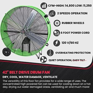 K Tool International 77746; 42 Inch Belt Drive Drum Fan with Easy Mobility Rubber Wheels, Ideal for Industrial, Garage or Barn, 2-Speed Control, Auto Overheat Cut-Off Protection, 14,800 Max CFM, Green