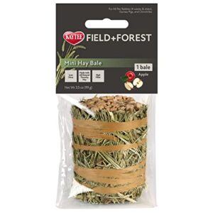 kaytee field+forest mini hay bale with apple