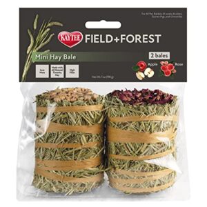 kaytee field+forest mini hay bales apple and rose 2 pack 7 ounces