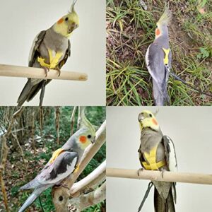 VANFAVORI Bird Harness with Buckle Clip and a Leash, Easy to Wear for Bird Parrots Cockatiel S Size Weight 85-105 Grams, Yellow