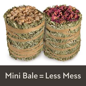 Kaytee Field+Forest Mini Hay Bales Apple and Rose 2 Pack 7 Ounces