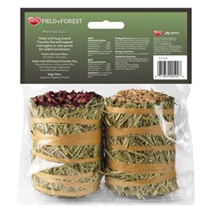 Kaytee Field+Forest Mini Hay Bales Apple and Rose 2 Pack 7 Ounces