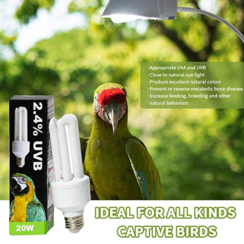 LUCKY HERP UVA UVB Light Bulb for Birds 2.4 UVB 20W Compact Flourescent Lamp for All Kinds Captive Birds