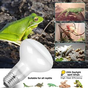 BOEESPAT 2 Pack 100W Reptile Heat Lamp Bulbs, UVA Reptile Light Bulb (2nd Gen), Daylight Basking Bulb for Bearded Dragon, Lizard,Tortoise,Hedgehogs,Amphibian...