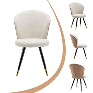 ALISH Dining Chairs, Modern Dining Chairs Set of 2, Uphosltered Dining Room Chairs Kitchen Chairs Desk Chairs Armless Side Chairs Beige