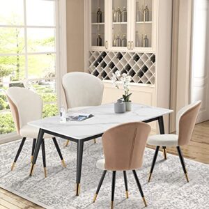 ALISH Dining Chairs, Modern Dining Chairs Set of 2, Uphosltered Dining Room Chairs Kitchen Chairs Desk Chairs Armless Side Chairs Beige