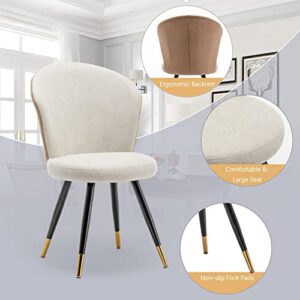 ALISH Dining Chairs, Modern Dining Chairs Set of 2, Uphosltered Dining Room Chairs Kitchen Chairs Desk Chairs Armless Side Chairs Beige