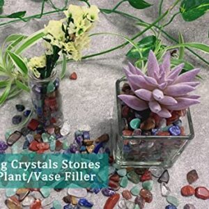 MAIBAOTA Natural 7 Chakra Crystal Quartz Rocks Chips Vase Filler Rocks for Succulent Plant Small Fish Tank Aquarium Gravel Decorative Pebbles Stones(200 gram)