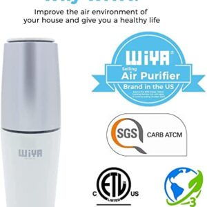 Portable Plug in Air Purifier, Small Room Wall Air Freshens Air, Keep Air Clean for Bedroom, Kitchen, Bathroom, Pet Area, Small Rooms