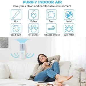 Portable Plug in Air Purifier, Small Room Wall Air Freshens Air, Keep Air Clean for Bedroom, Kitchen, Bathroom, Pet Area, Small Rooms