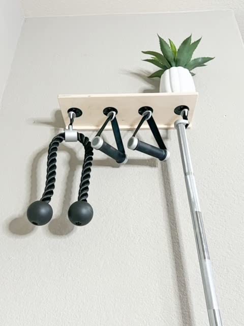 Bush Acres Dezirae- 18" Smart Gym Organizer - 4 Flush T Lock Clips - Includes Shelf - Compatible w Tonal TLock Accessories