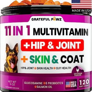 Dog Multivitamin Chewable with Glucosamine - Dog Vitamins and Supplements, Senior & Puppy Multivitamin for Dogs - Pet Chondroitin Hip and Joint Support Health, Immune Booster, Skin, Heart, Probiotics