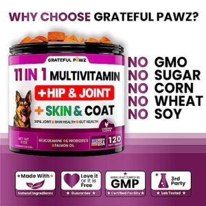 Dog Multivitamin Chewable with Glucosamine - Dog Vitamins and Supplements, Senior & Puppy Multivitamin for Dogs - Pet Chondroitin Hip and Joint Support Health, Immune Booster, Skin, Heart, Probiotics