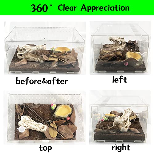 Magnetic Acrylic Reptile Cage,Transparent Enclosure Reptile Breeding Box,Breeding Box Terrarium Tank Suitabl for Tarantulas,Lizards,Chameleons,Hermit Crabs,Snakes,Insect,Turtle（12x8x6 Inch