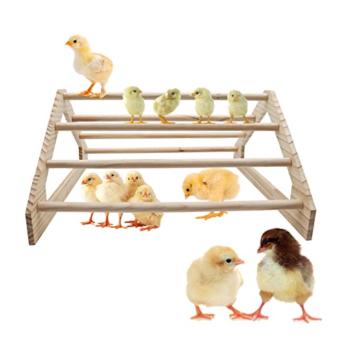 Wooden Chicken Perch for Chick, Funny Toys for Chick, Chick Stand Training Perch Toy, Perch Pole for Chicken Coops and Brooders, Wooden Chick Toys Perch for Chicken Coop Young Birds