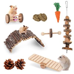 Beyoung 10 Pack Hamster Chew Toys, Small Animal Activity Toys Accessories Molar Teeth Care Natural Apple Wood Ladder Bell Roller for Dwarf Hamsters Rat Guinea Pigs Chinchillas Gerbils Bunnies