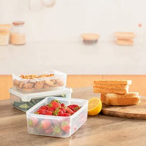 FOLIND Food Storage Container Set, Airtight Plastic Bowls with Lid (Pack of 3), Reusable - For Kitchen Pantry Organization - Lunch Box, Freezer & Microwave Safe, with Grey Lid