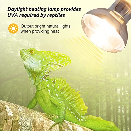 REPTIZOO 75W Reptile Heat Lamp Bulb 2PCS Day & Night Heat Lamp Combo Pack Include Nightlight Infrared Heat Emitter and UVA Daylight Heating Lamp