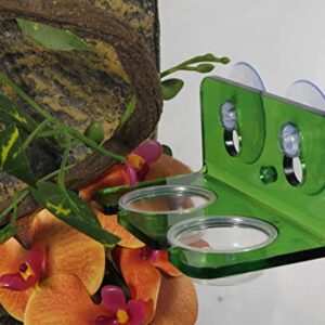 WOLEDOE Crested Gecko Feeding Ledge with 20 Pcs 0.5oz Bowls, Reptile Food Cups and Water Dish fit Chameleon Lguana Lizards