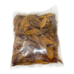 The Bio Dude Leaf Litter - Live Oak Litter - Great for bioactive terrariums, vivariums and Fish