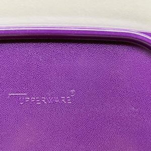 Tupperware Modular Mates Square Replacement Lids Seal Lid 1623 Dewberry 7" x 7"