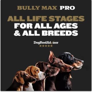 Bully Max 2X Calorie Dry Dog Food PRO Series | High Calorie High Protein Dog and Puppy Food | Healthy Weight Gain and Muscle Mass for All Breeds | 600 Calories per Cup | Slow-Cooked | 16 Lbs. Bag