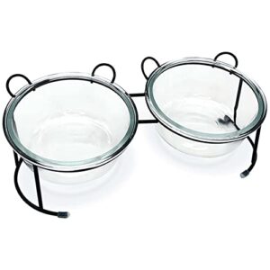 bnosdm elevated cat bowls, glass raised pet bowl, 12° tilted double dishes set for food and water, transparent kitty feeding station with gold iron stand for indoor and outdoor kitten