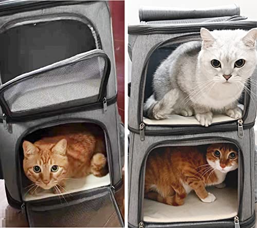 Cat Backpack Carrier for 2 Cats, Cat Carrier for Large Cats, Dog Backpack for 2 Small Dogs, with 7 Ventilation Windows, Built-in Frame and Support Plate, Safety Straps, Collapsible, Beviliu