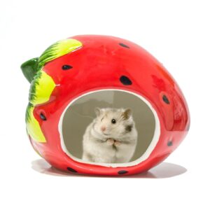 A/A Hamster Hideout Ceramic Pet House Cartoon Shape Hamster House Mini Hut Cage Critter Bath House for Chinchilla Hamster (Strawberry)