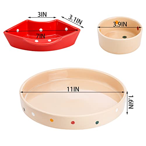 Cedilis Porcelain Divided Serving Dishes, 11Inch Ceramic Appetizer Tray, Colorful Divided Serving Tray Snack Container, 5 Removable Snack Bowls Relish Tray for Candy, Nut, Veggie, Chips and Dip