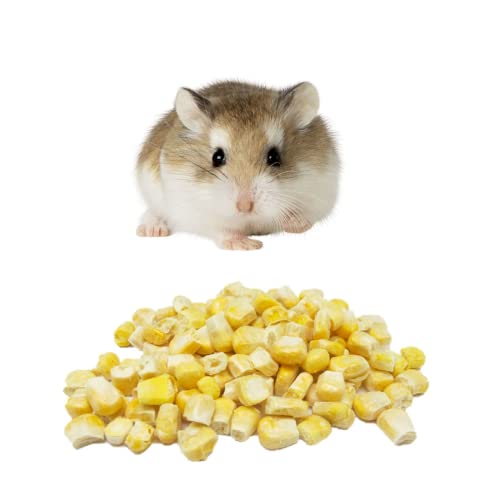 PETIVORE Premium Freeze Dried Corn for Sugar Glider and Small Exotic Pet - Made with Corn - Sugar Glider, Hamster, Squirrel, Chinchillas, Marmoset Happy Treats, Snacks and Food (17g)