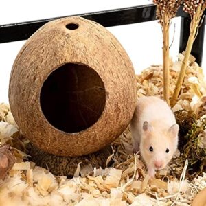 ZYMXdm Hamster Hideout Coconut Hut Small Animal Pet House Bed Pet Cave Nest Climber Chew ToySupplies,for Mice, Rats, Gerbils