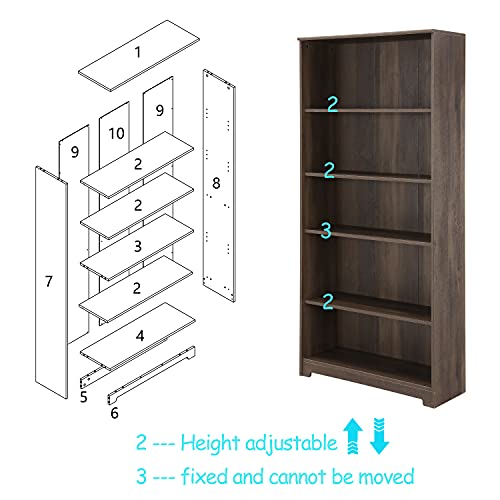 LOKATSE HOME 5-Shelf Bookcase Freestanding Display Wooden Open Storage Bookshelf for Library Bedroom and Office