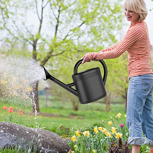 1 Gallon Watering Can for Indoor Plants, Garden Watering Cans Outdoor Plant House Flower, Large Long Spout with Sprinkler Head