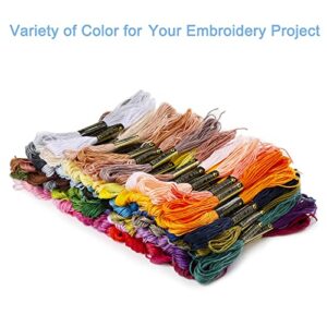 Botober 100 skeins Professional Rainbow Color Embroidery Floss with 30 pcs Needles and I pcs Threader, Embroidery Thread Kits for Cross Stitch, Bracelet Friendship and Craft Floss