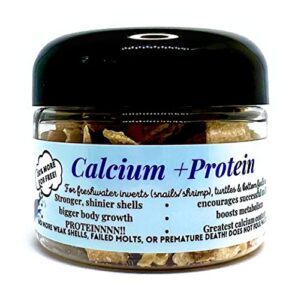 calcium + protein tablets - great for picky eaters - snails, shrimp, bottom dwelling fish, plecos, crabs, and more!