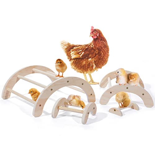 Chick Perch for Coop Brooder: Dorakitten 4Pcs Chicken Perch Stand Roosting Training, Chicken Coop Accessories Toys for Baby Birds Hens Parrots, Chicken Swing Toy Easy to Assemble and Clean