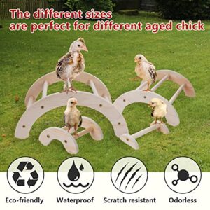 Chick Perch for Coop Brooder: Dorakitten 4Pcs Chicken Perch Stand Roosting Training, Chicken Coop Accessories Toys for Baby Birds Hens Parrots, Chicken Swing Toy Easy to Assemble and Clean