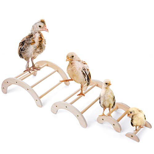 Chick Perch for Coop Brooder: Dorakitten 4Pcs Chicken Perch Stand Roosting Training, Chicken Coop Accessories Toys for Baby Birds Hens Parrots, Chicken Swing Toy Easy to Assemble and Clean