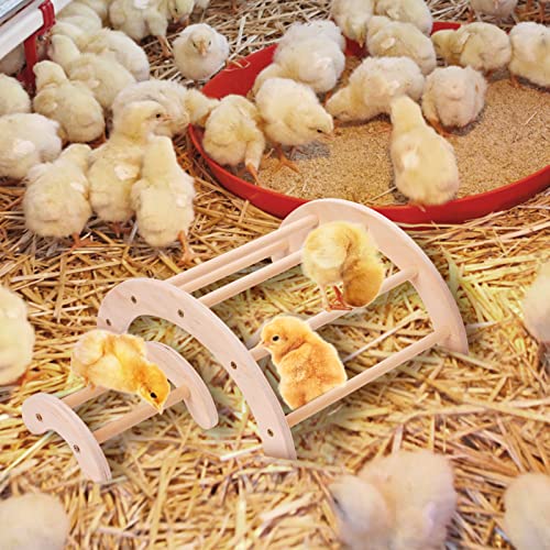 Chick Perch for Coop Brooder: Dorakitten 4Pcs Chicken Perch Stand Roosting Training, Chicken Coop Accessories Toys for Baby Birds Hens Parrots, Chicken Swing Toy Easy to Assemble and Clean