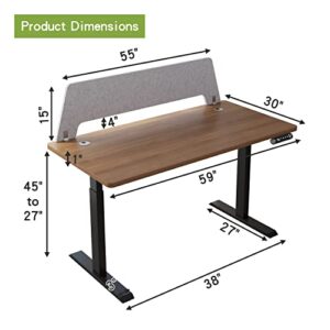 Radlove Dual Motor Electric Height Adjustable Standing Desk, 59 x 30 Inches Desk Whole-Piece Desk Board Electric Sit Stand Desk Home Office Table Ergonomic Desk